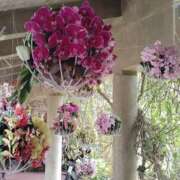 ヒメ日記 2026/04/01 11:33 投稿 まりも☆笑顔が素敵な素人♪ 五十路有閑マダム～沖縄店～