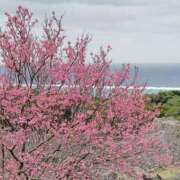 ヒメ日記 2026/04/03 16:48 投稿 まりも☆笑顔が素敵な素人♪ 五十路有閑マダム～沖縄店～