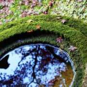 ヒメ日記 2025/01/02 08:38 投稿 えみこ 阪神人妻花壇