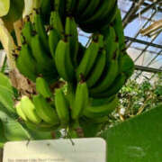 ヒメ日記 2025/03/09 18:28 投稿 えみこ 阪神人妻花壇