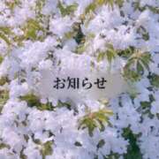 ヒメ日記 2025/05/02 19:47 投稿 えみこ 阪神人妻花壇