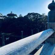 ヒメ日記 2025/08/19 14:03 投稿 えみこ 阪神人妻花壇