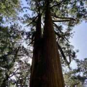 ヒメ日記 2025/10/23 16:06 投稿 えみこ 阪神人妻花壇