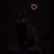 ヒメ日記 2025/10/29 17:54 投稿 えみこ 阪神人妻花壇