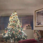 ヒメ日記 2024/12/09 11:36 投稿 えみこ 京都人妻花壇