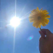 ヒメ日記 2025/03/18 12:47 投稿 えみこ 京都人妻花壇