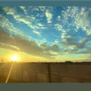 ヒメ日記 2025/05/30 08:41 投稿 えみこ 京都人妻花壇