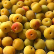 ヒメ日記 2025/06/17 16:15 投稿 えみこ 京都人妻花壇