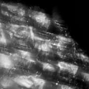 ヒメ日記 2025/07/16 16:42 投稿 えみこ 京都人妻花壇