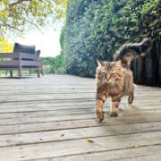 ヒメ日記 2025/07/24 13:33 投稿 えみこ 京都人妻花壇