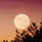 ヒメ日記 2025/08/09 15:05 投稿 えみこ 京都人妻花壇