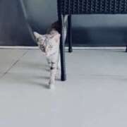 ヒメ日記 2025/09/25 12:49 投稿 えみこ 京都人妻花壇