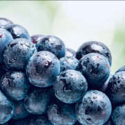 ヒメ日記 2025/09/29 17:30 投稿 えみこ 京都人妻花壇