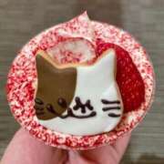 ヒメ日記 2025/04/27 16:50 投稿 くみ Ｓ＆Ｍ　極嬢