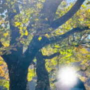 ヒメ日記 2025/03/13 09:32 投稿 えみこ 神戸人妻花壇