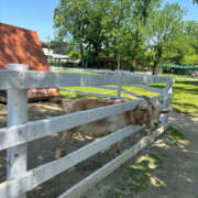 ヒメ日記 2025/03/17 11:04 投稿 えみこ 神戸人妻花壇