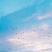 ヒメ日記 2025/04/26 08:12 投稿 えみこ 神戸人妻花壇