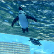 ヒメ日記 2025/05/04 13:32 投稿 えみこ 神戸人妻花壇