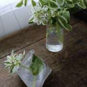 ヒメ日記 2025/05/25 17:18 投稿 えみこ 神戸人妻花壇