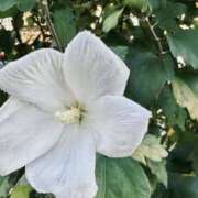 ヒメ日記 2025/09/11 15:33 投稿 えみこ 神戸人妻花壇