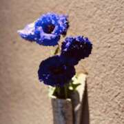 ヒメ日記 2025/10/07 16:55 投稿 えみこ 神戸人妻花壇