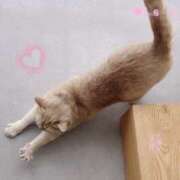 ヒメ日記 2025/03/29 14:30 投稿 えみこ 神戸人妻援護会