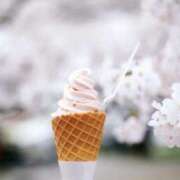 ヒメ日記 2025/04/06 13:52 投稿 えみこ 神戸人妻援護会