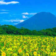 ヒメ日記 2025/08/03 15:35 投稿 えみこ 神戸人妻援護会