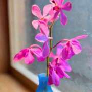 ヒメ日記 2025/09/22 17:54 投稿 えみこ 神戸人妻援護会