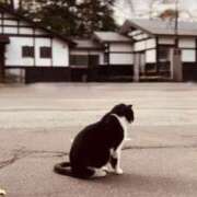 ヒメ日記 2025/10/22 08:13 投稿 えみこ 神戸人妻援護会