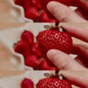 ヒメ日記 2025/04/04 16:41 投稿 えみこ 大阪人妻援護会