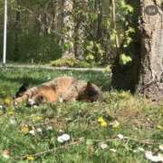 ヒメ日記 2025/04/16 17:11 投稿 えみこ 大阪人妻援護会