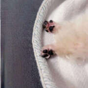 ヒメ日記 2025/04/18 20:06 投稿 えみこ 大阪人妻援護会