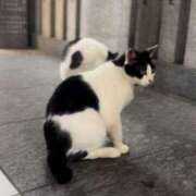 ヒメ日記 2025/08/22 18:18 投稿 えみこ 大阪人妻援護会