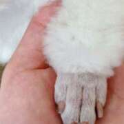 ヒメ日記 2025/09/17 12:05 投稿 えみこ 大阪人妻援護会