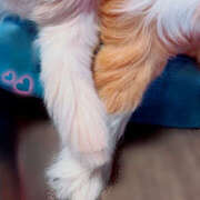 ヒメ日記 2025/01/07 16:59 投稿 えみこ 和歌山人妻援護会