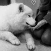 ヒメ日記 2025/04/29 11:09 投稿 えみこ 和歌山人妻援護会