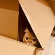 ヒメ日記 2025/06/08 11:21 投稿 えみこ 和歌山人妻援護会