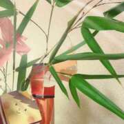 ヒメ日記 2025/07/04 11:27 投稿 えみこ 和歌山人妻援護会