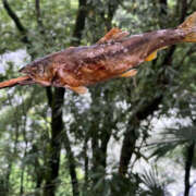 ヒメ日記 2025/08/25 11:34 投稿 えみこ 和歌山人妻援護会