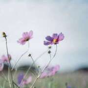 ヒメ日記 2025/10/28 17:59 投稿 えみこ 和歌山人妻援護会