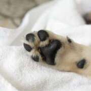 ヒメ日記 2025/02/12 14:02 投稿 えみこ 京都人妻援護会