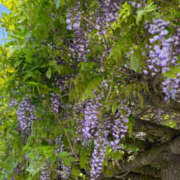 ヒメ日記 2025/05/12 11:50 投稿 えみこ 京都人妻援護会