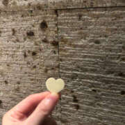 ヒメ日記 2025/07/07 11:37 投稿 えみこ 京都人妻援護会