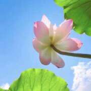 ヒメ日記 2025/07/18 15:40 投稿 えみこ 京都人妻援護会