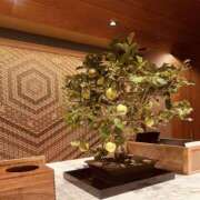 ヒメ日記 2025/08/23 16:38 投稿 えみこ 京都人妻援護会