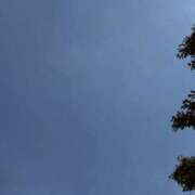 ヒメ日記 2025/08/29 11:56 投稿 えみこ 京都人妻援護会