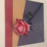 ヒメ日記 2025/09/15 17:17 投稿 えみこ 京都人妻援護会