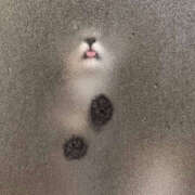 ヒメ日記 2025/05/19 07:13 投稿 えみこ 大阪ミナミ人妻援護会