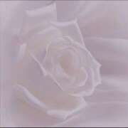 ヒメ日記 2025/07/05 13:28 投稿 えみこ 大阪ミナミ人妻援護会